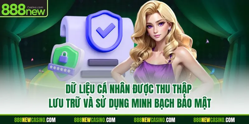 Dữ liệu cá nhân được thu thập, lưu trữ và sử dụng minh bạch, bảo mật